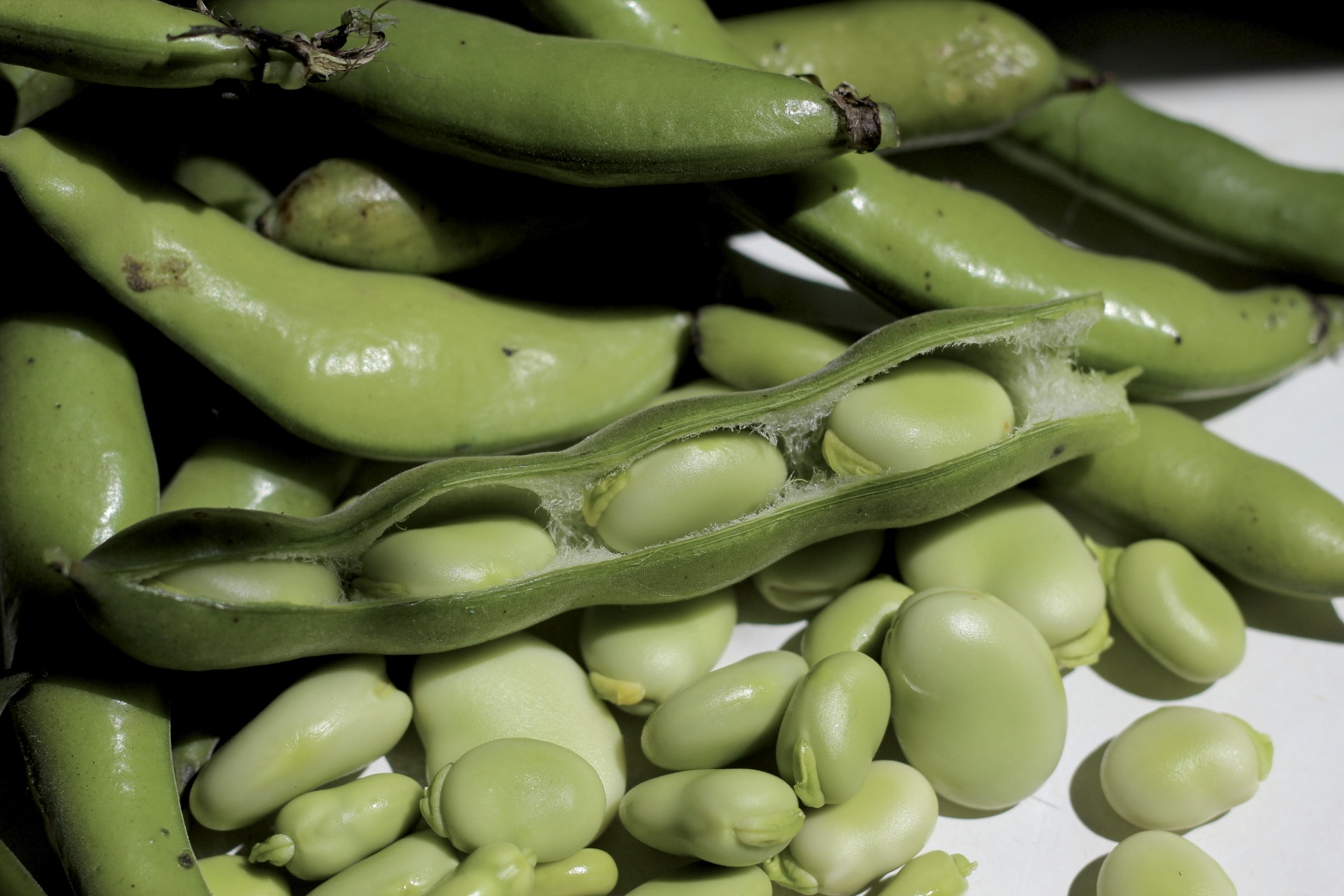 broad-beans-how-to-prepare-the-blue-mountains-food-co-op