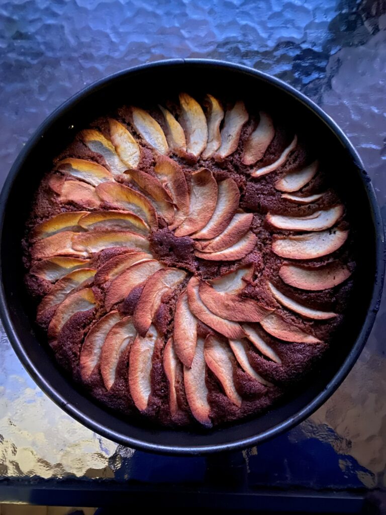 Four Ingredient Christmas Cake - Apple Cake Annie